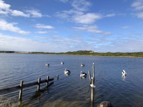 Apkārtne, Riverview Coastal Retreat Sleeps 6 Walk to Beach Great Ocean Road in Peterborough