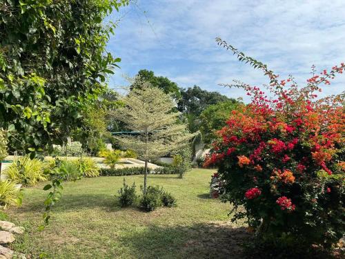 TRANQUILITY Resort 4