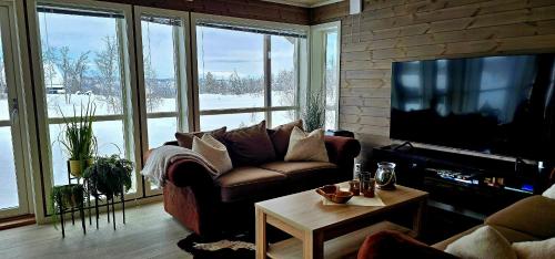 共用Lounge/電視區, Cosy mountain cabin, Geilo in 於夫達爾