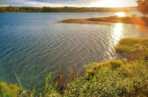 Campingstuga Cottage - Blattnicksele Camping in 소르셀레