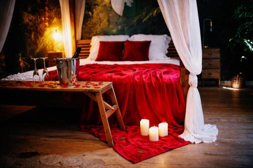 L'Evasion romantique en Amazonie, SPA, 5 min centre ville, Écran cinéma, day use, Lit baldaquin - Location saisonnière - Évreux