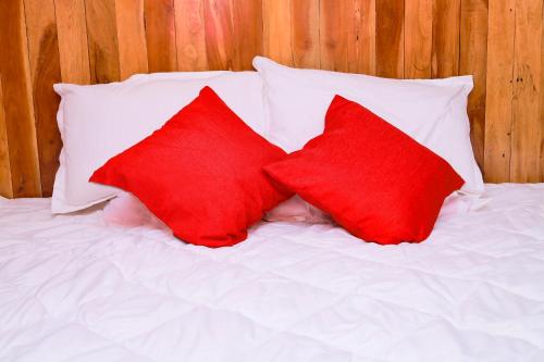 John Home Stay