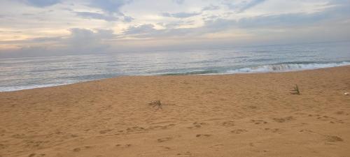 Options Mount Beach Inn Rooms Colombo in Mount Lavinia Beach