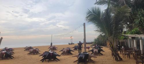 Options Mount Beach Inn Rooms Colombo in Mount Lavinia Beach