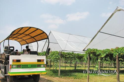 บ้านไร่คุณนาย - Khao Yai