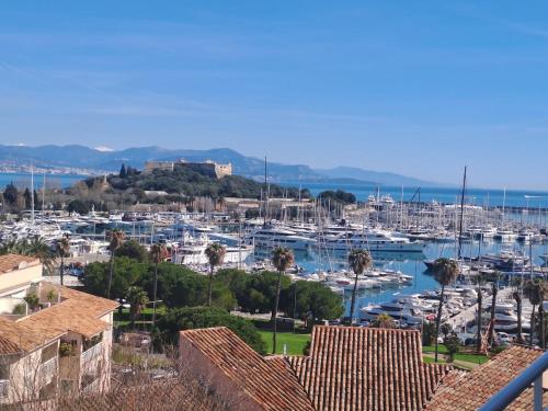 Magnifique terrasse, vue mer, plein centre 3 pièces