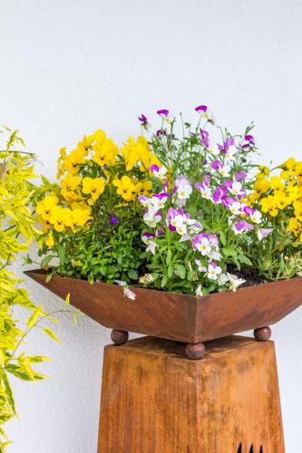 Pension Tannenhof