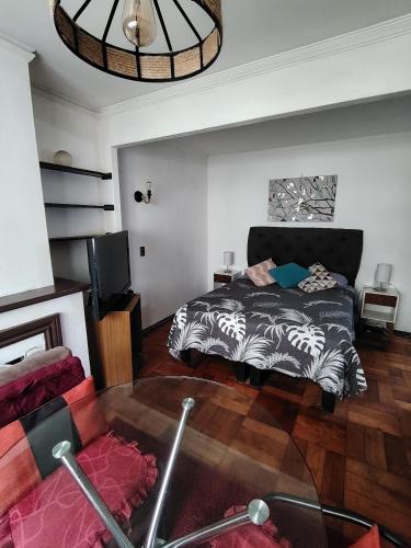 Departamento kintamar viña