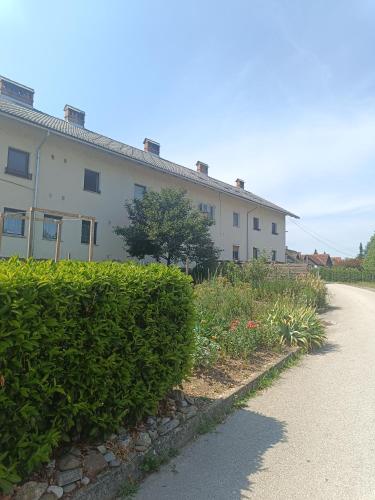Green House in Skofja Loka