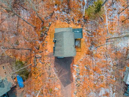 A Blind Mountainwood - image 7