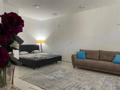 Unik Family Only Apartments in พริซเซ่น
