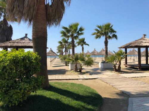 Strand, Tea Residence, Gjiri i Lalzit Apartments in Fushë-Draçi