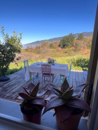 Casa rural La Reineta in La Orotava