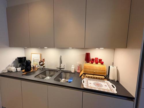 84m2 Boutique and Riverview Luxury Apartment fully equipped with also a Private Garden and a Free Se in 庫爾內