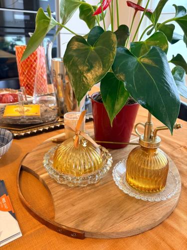 84m2 Boutique and Riverview Luxury Apartment fully equipped with also a Private Garden and a Free Se in 庫爾內
