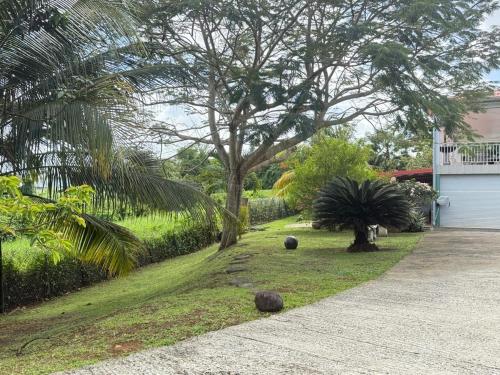 puutarha, Kaz a Lilou au Lamentin - 5 Min de l'hôpital Mangot Vulcin (Kaz a Lilou au Lamentin - 5 Min de l'hopital Mangot Vulcin) in Le Lamentin