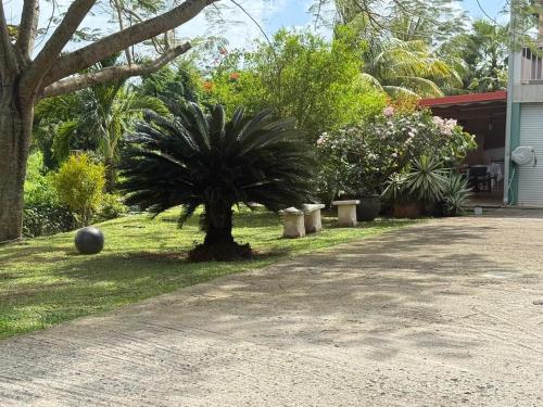 puutarha, Kaz a Lilou au Lamentin - 5 Min de l'hôpital Mangot Vulcin (Kaz a Lilou au Lamentin - 5 Min de l'hopital Mangot Vulcin) in Le Lamentin