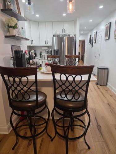 Brooklyn Luxury Suite in Brooklyn, USA