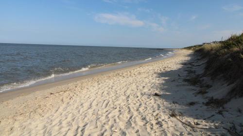 Viesnīcas āriene, Salty Dog Beach House in North Cape May (NJ)