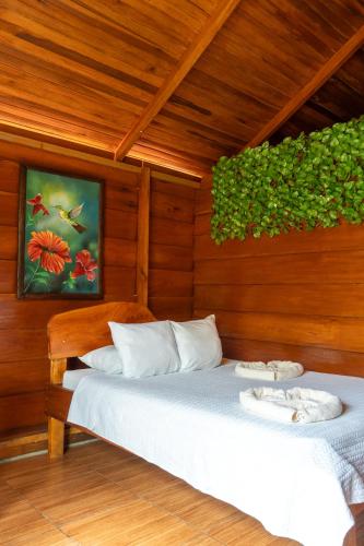 Cabañas SyC, Фортуна (фото 3)