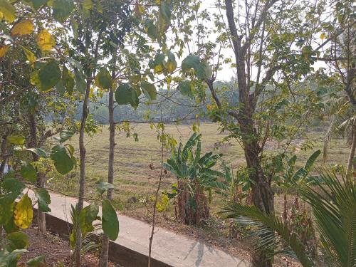 Paripally house in Parakulam