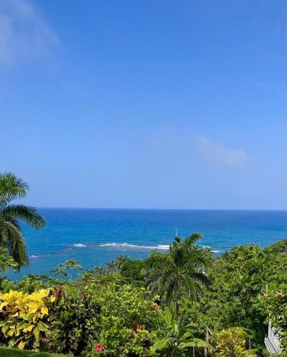 Sandys Oceanview Vacation Villa & Venue- 5-7bd in พอร์ต มาเรีย