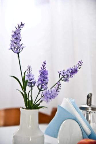 ホリデイ ビーチ リゾート