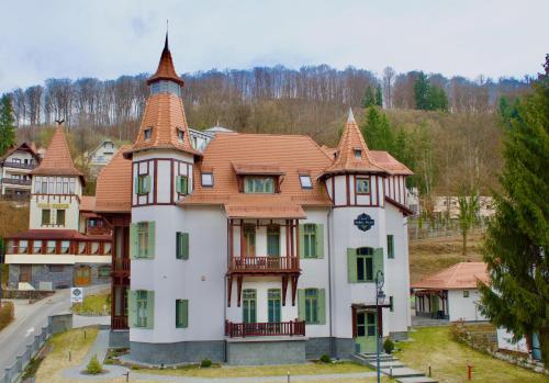 Turul Villa - Hotel - Sovata