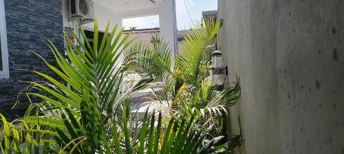 Residencial Indelével-REI LDA (Residencial Indelevel-REI LDA) in Nampula