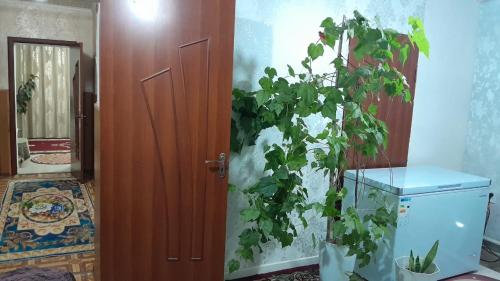 Nurgul Guest House in Naryn