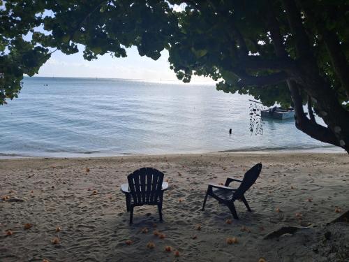 Maupiti Bambou Camping in 마우피티 섬