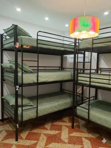 Hostel-Élisée-Perpignan - Auberge de jeunesse - Perpignan