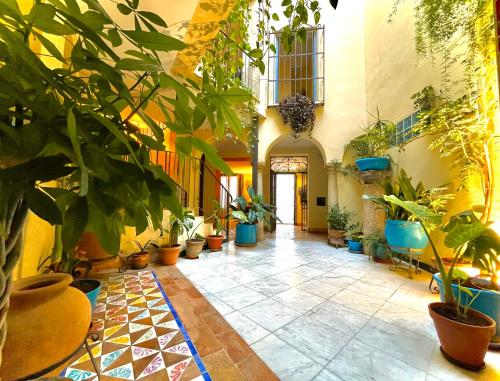 Vista exterior, Hotel Conde de Cardenas in Cordoba City Center