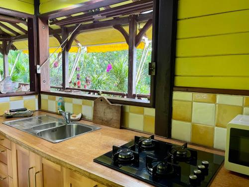 Kaz Bwa dinde vue mer dans jardin tropical in Terre de Haut