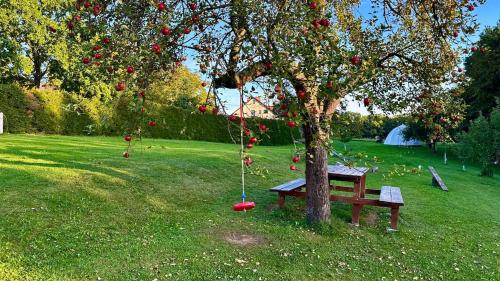 Dārzs, glamping podtrosky in Troskovice