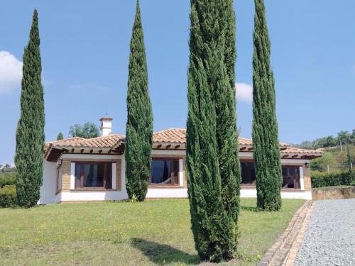 Casa La Victoria 12 - image 4