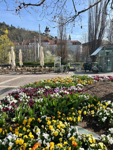 zimmer-graz in Graz, Österreich