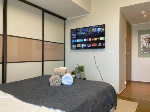 City apartment Tallinn Free parking, Tallin (foto 9)