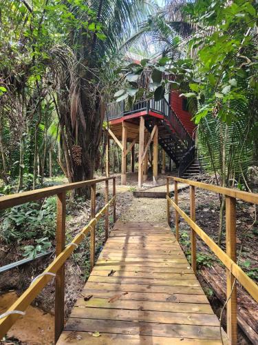 Enchanted Jungle Treehouse in Mount Hope