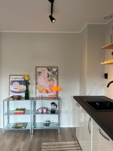 Big and modern Penthouse - 1 Min from Train Station in Vossevangen