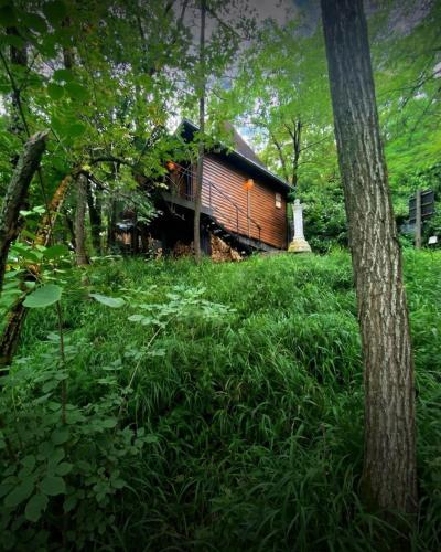 Distrikt Ranč Platan - Jus naturale, Fruška gora, Vrdnik