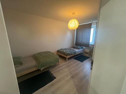 4 guest - FFM - Germany - image 3