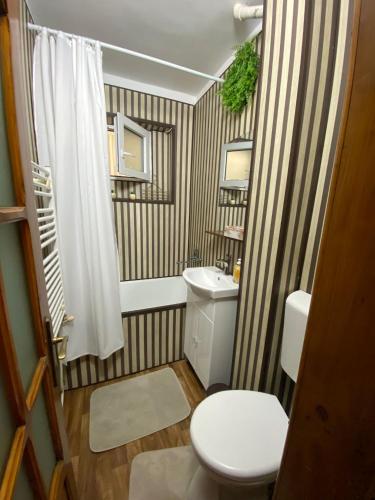 Lemora Apartments 3 in 福克沙尼
