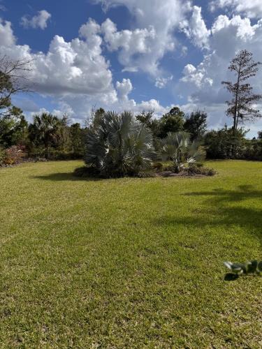 My home in Naples in Orangetree (FL)