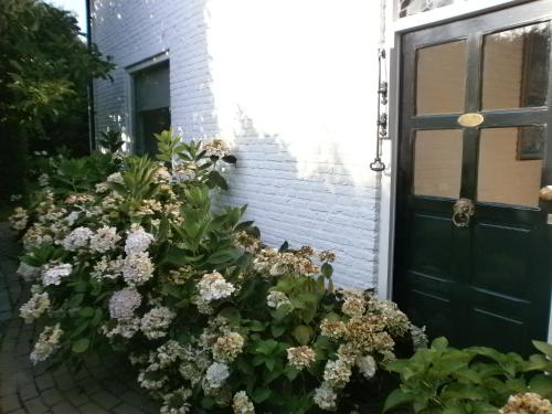 Bed and Breakfast Azzurro - image 13