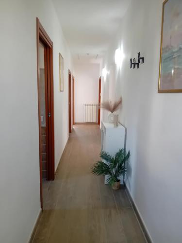 Casa vacanze LA FENICE in Valmontone