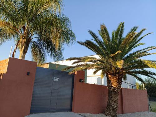 Palmeras al sol