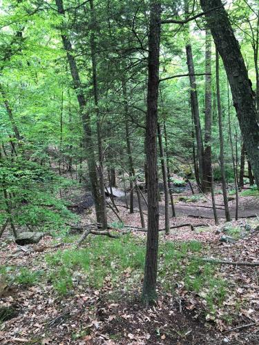 Little haven by the woods in Peekskill (NY)