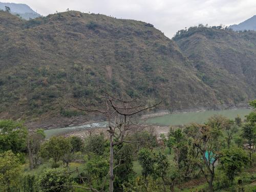 Silver oak Hotel and Restaurant in Bagla