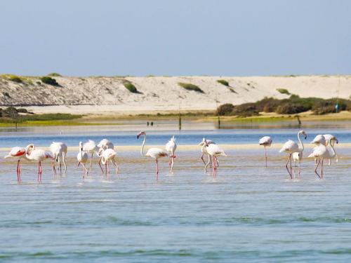 Hotel Quinta do Lago - image 8